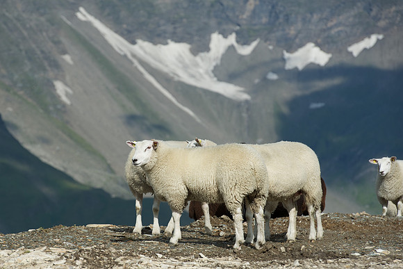 Austria,Hagener Huette, 2012