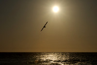 Ilse of Norderney, 2010