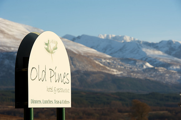 Old Pines Hotel,  with Ben Navis