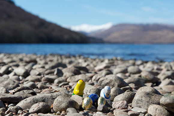 Loch Arkaig