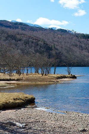 Loch Arkaig