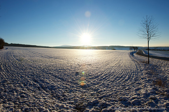 Steinfischbach #1