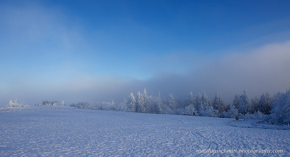 Auf dem Feldberg #10