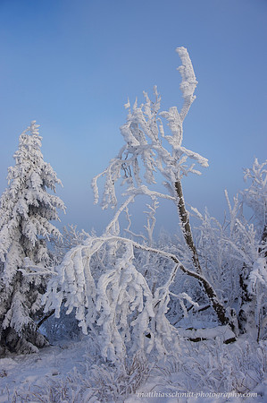Auf dem Feldberg #4