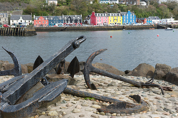 Tobermory #3