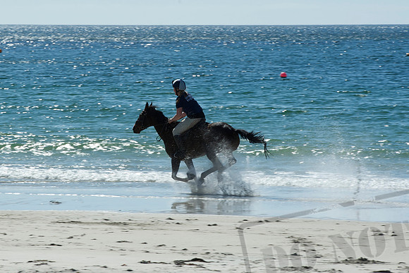 Calgary Beach, Isle of Mull, #3