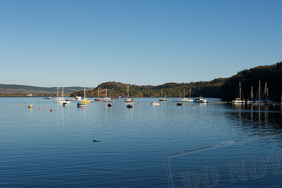 Tobermory #3